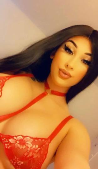 katilina star