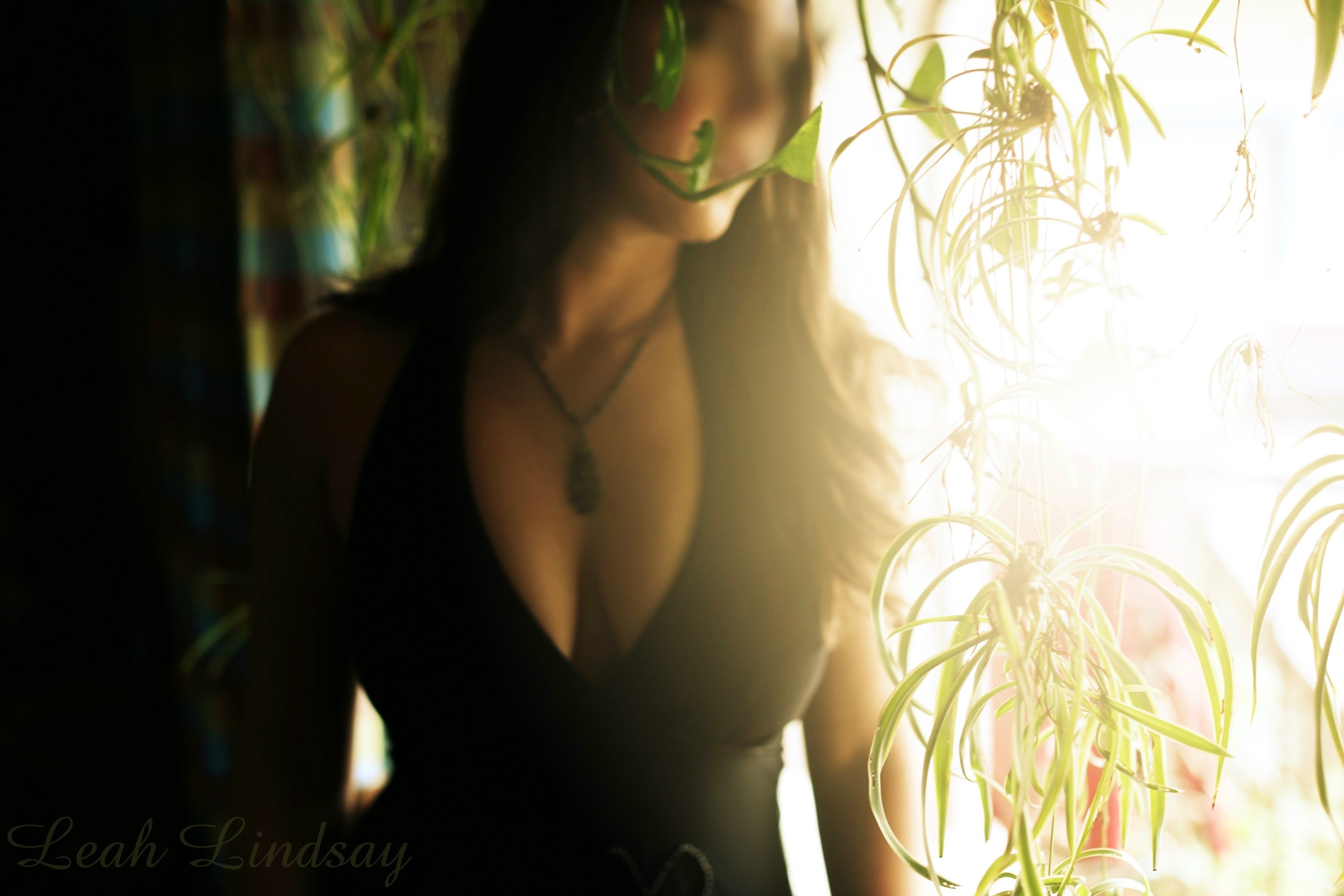 Vista Ca Escorts