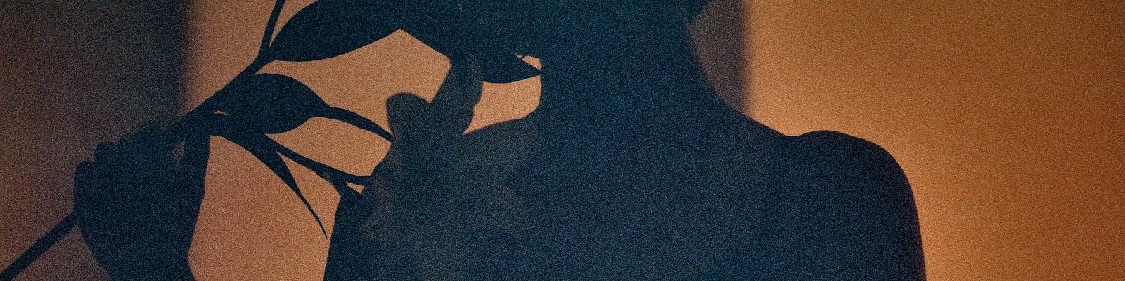 Francés J Wolfe’s Cover Photo