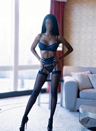 FalconXModel