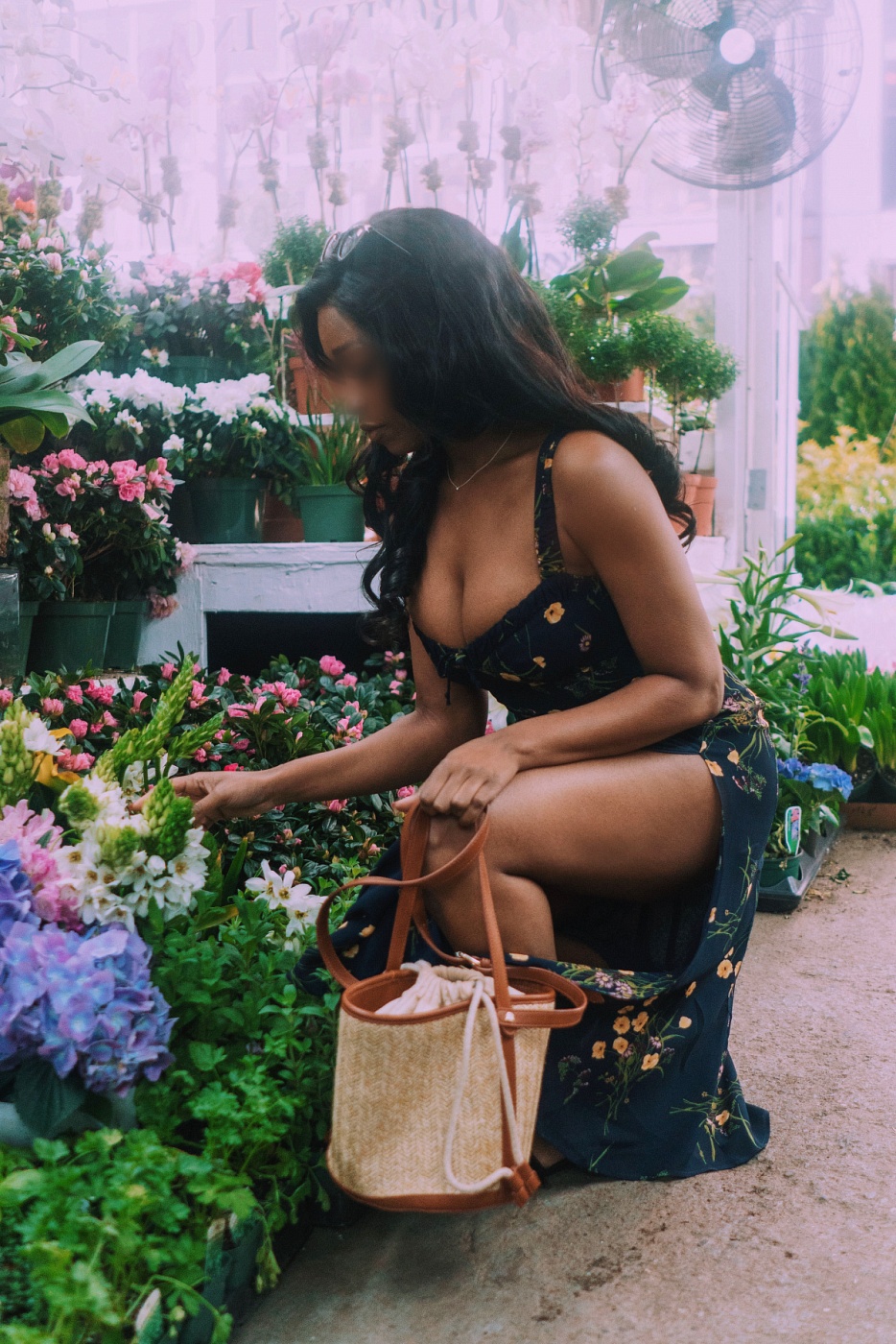Bre Jolie