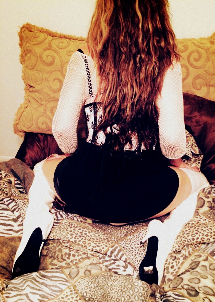 TS Domina