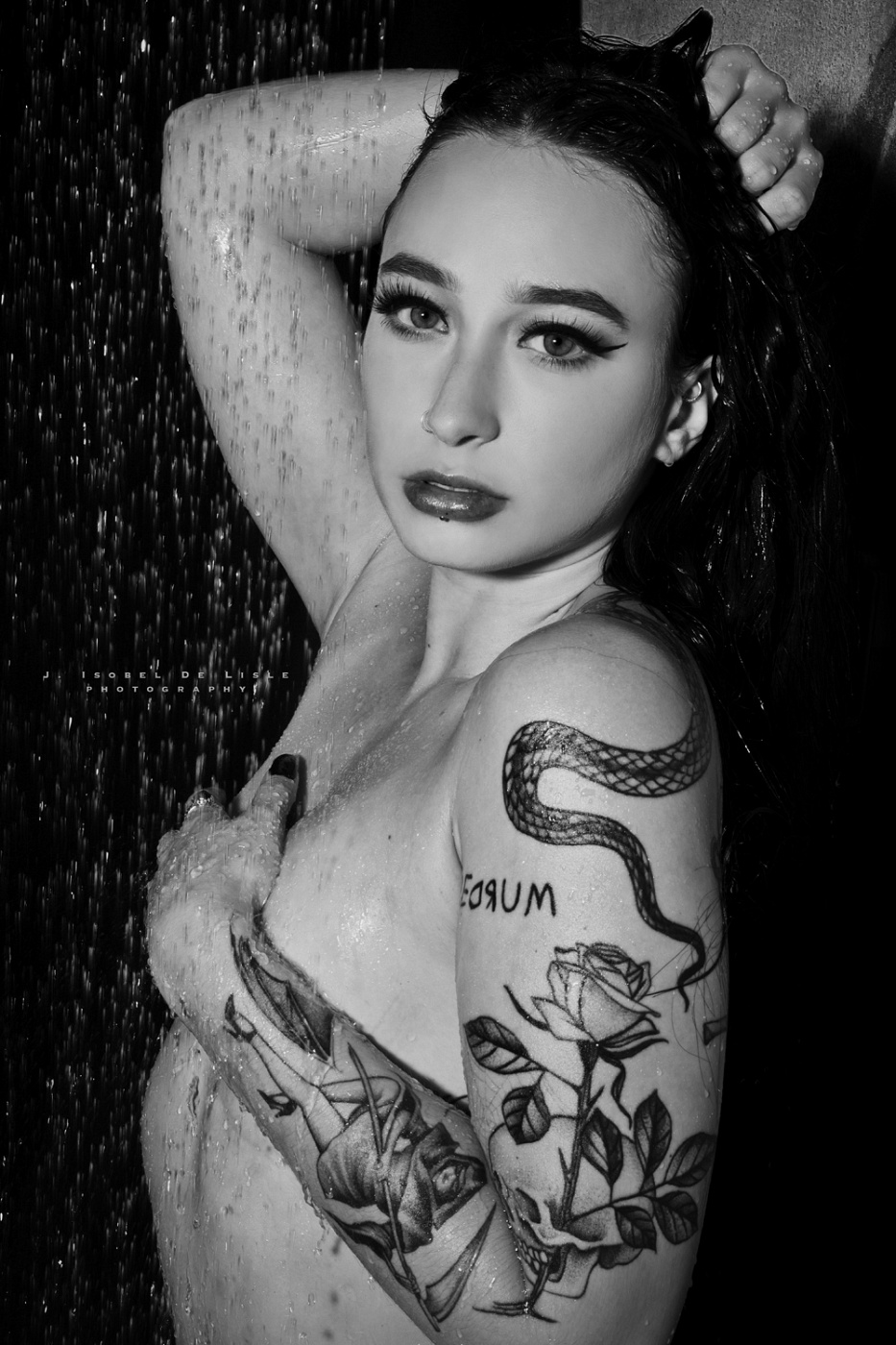 Vixen