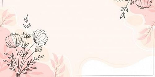 Nikki’s Cover Photo