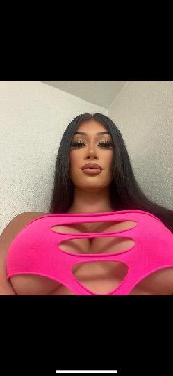 katilina star