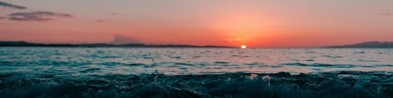 Rosebankx’s Cover Photo