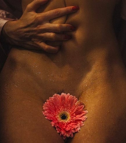 Allison Augustin