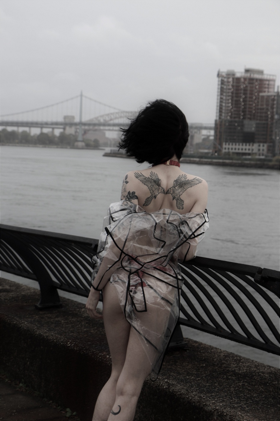 Rosie Levine