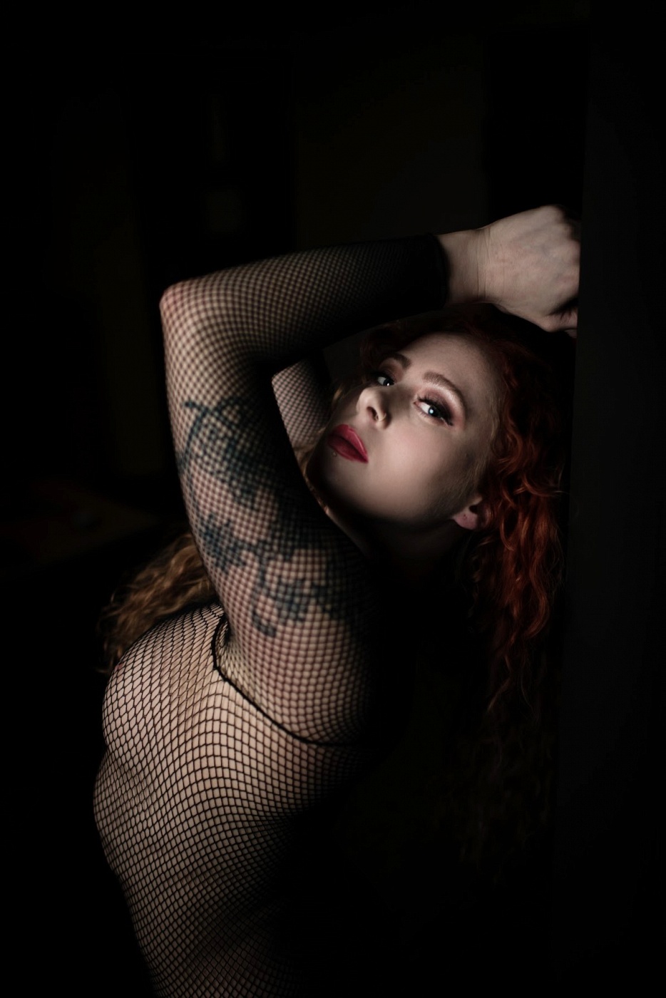 Vixen D. Fox