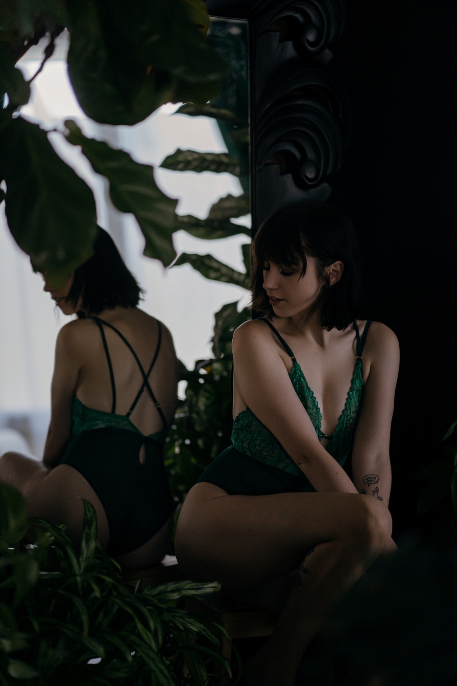 Nova Faye