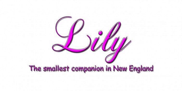 Lily’s Cover Photo