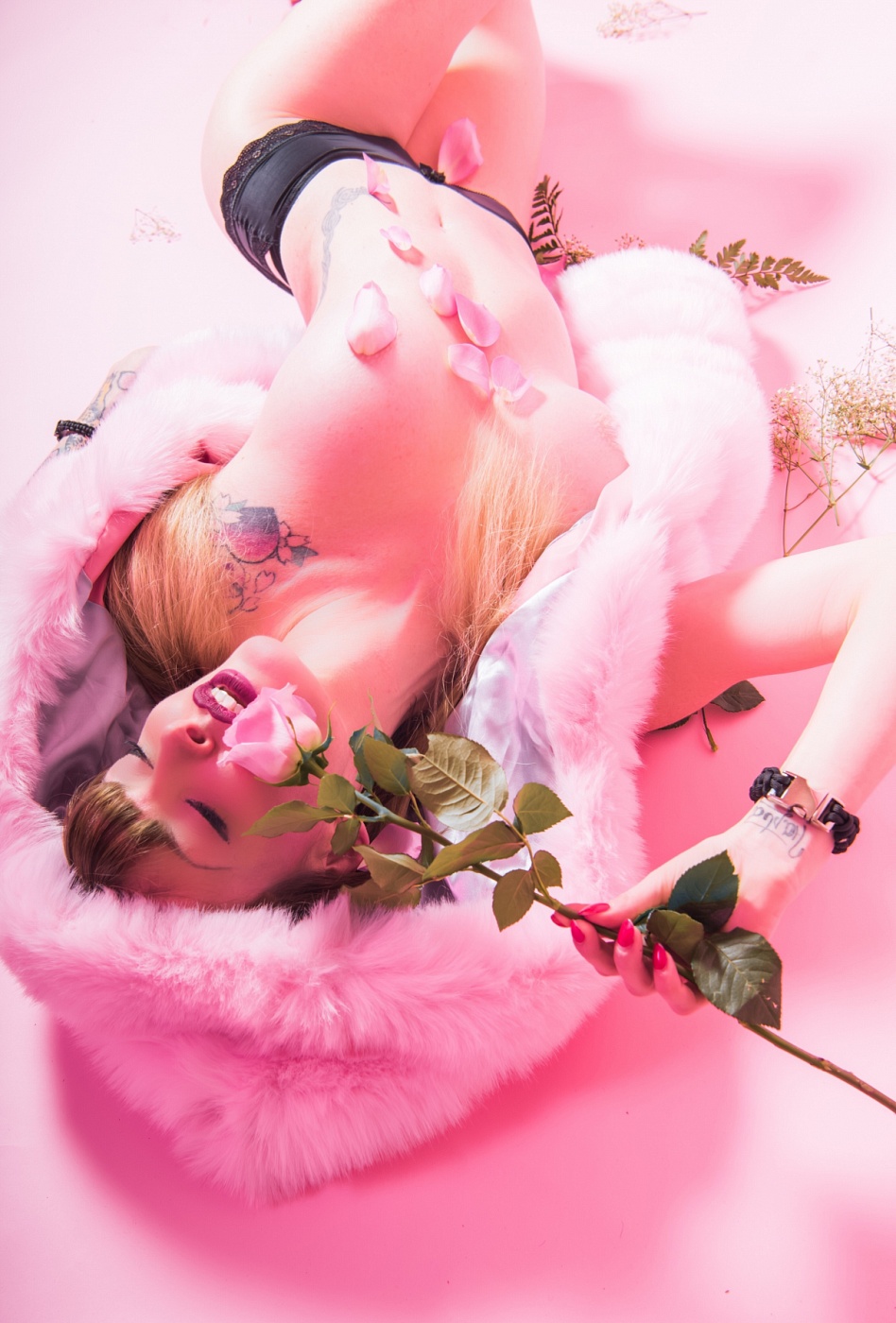 Dollnicole