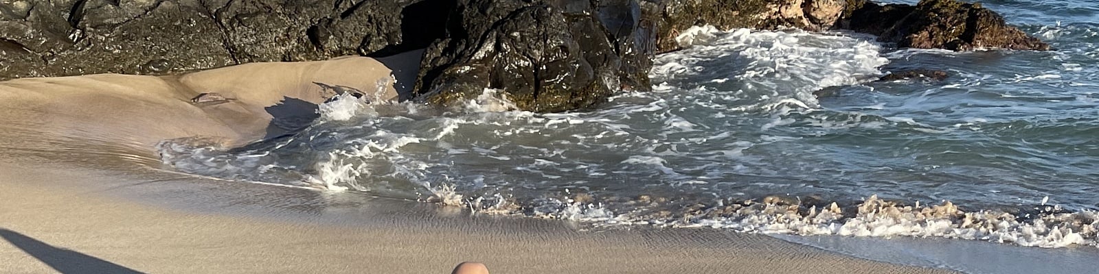 Nicole’s Cover Photo
