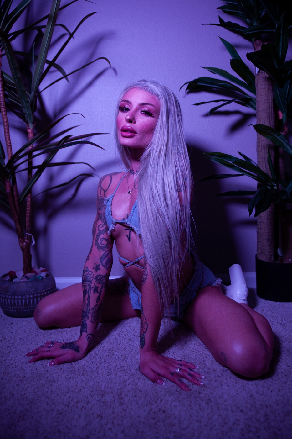 Miss Chloe Carter
