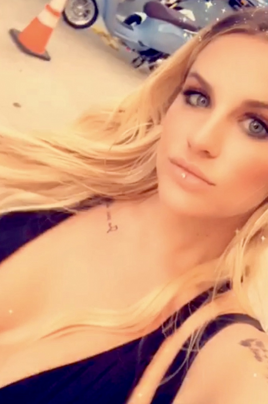 Nikki Luscious