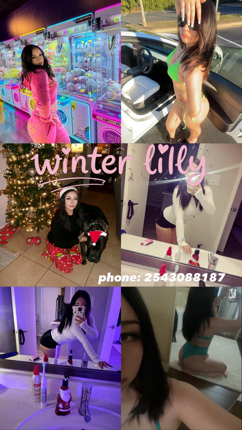 winter lilly