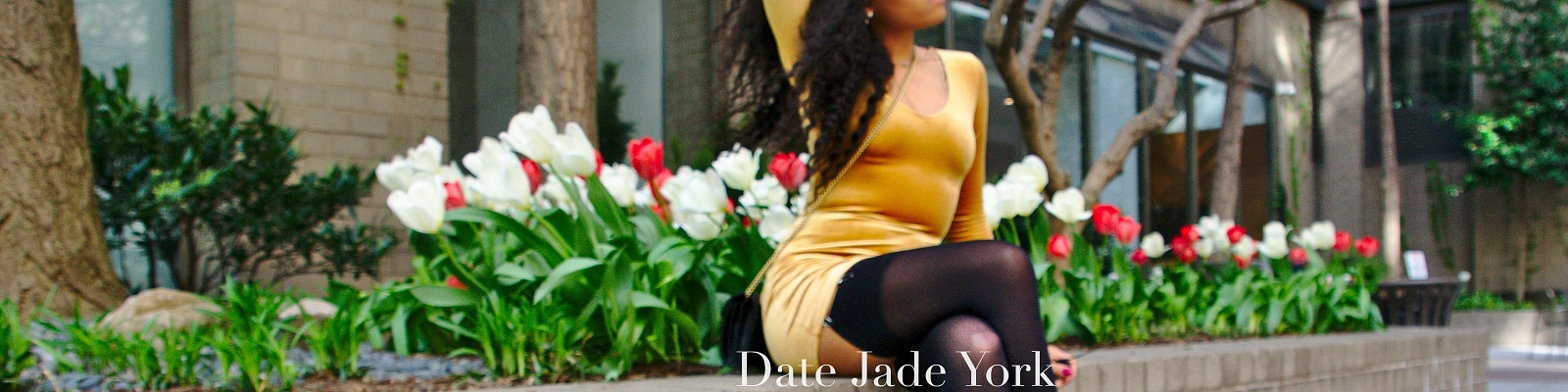 Jade York’s Cover Photo