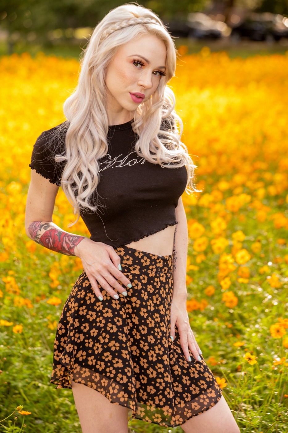 Belle of Nola