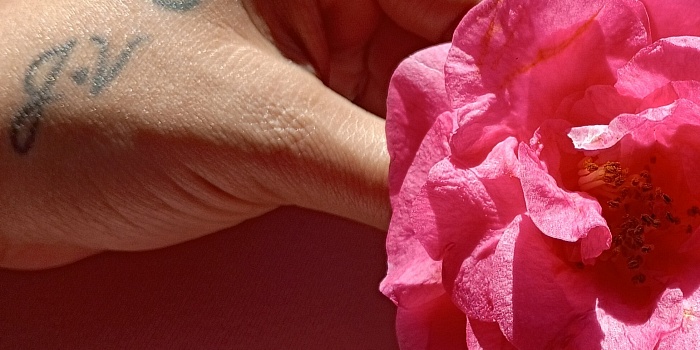 Rosee’s Cover Photo