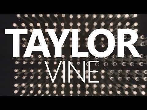 Taylor Vine