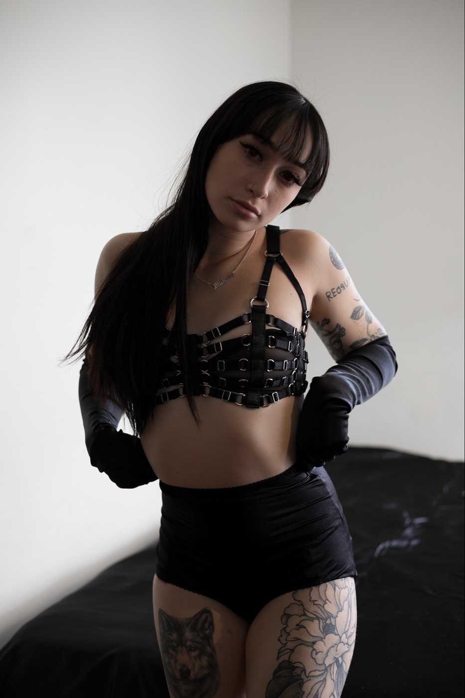 Vixen