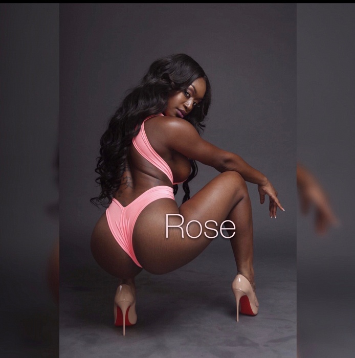 Beautiful Blaque Rose