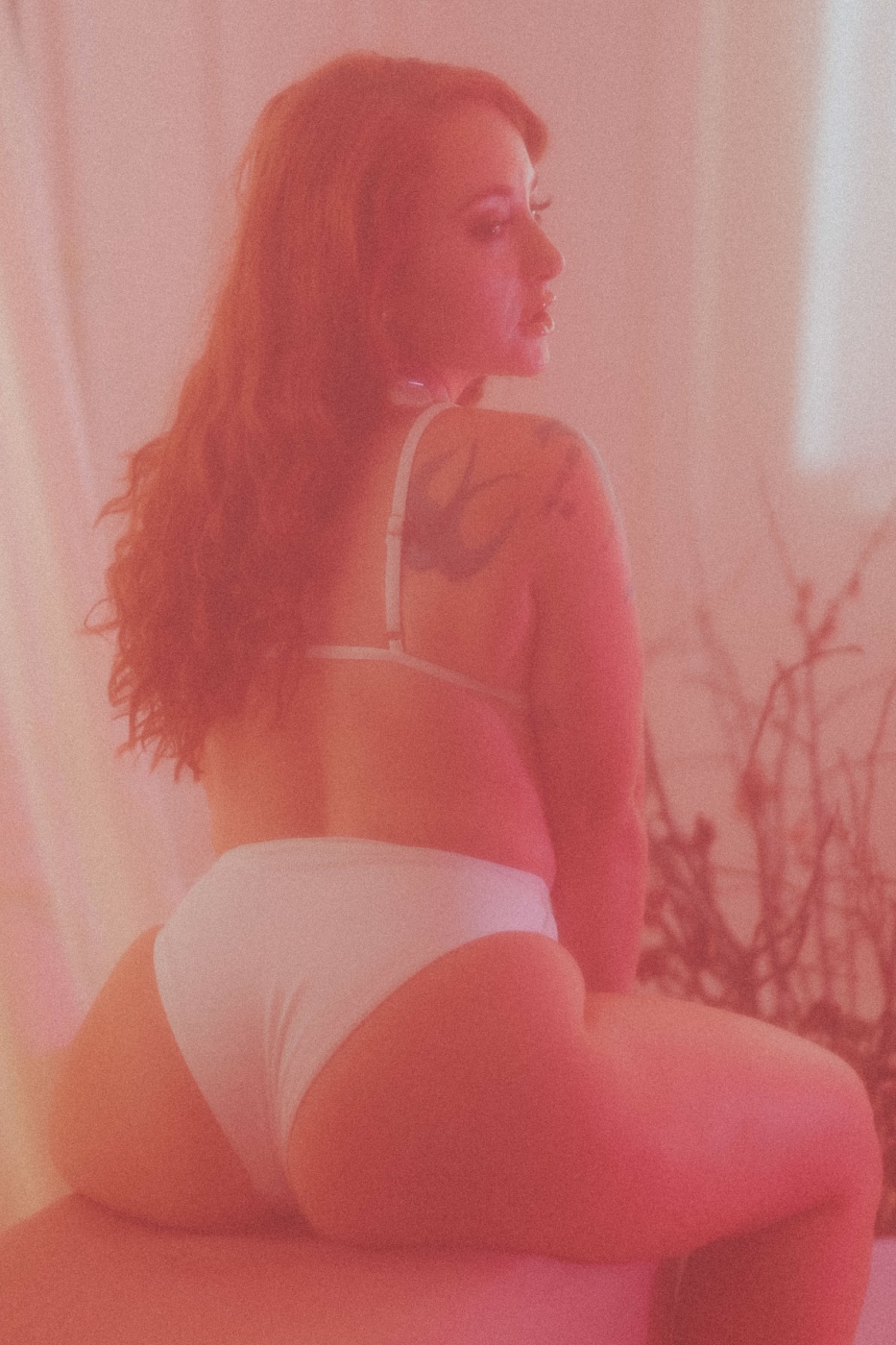 Gemma Paradise