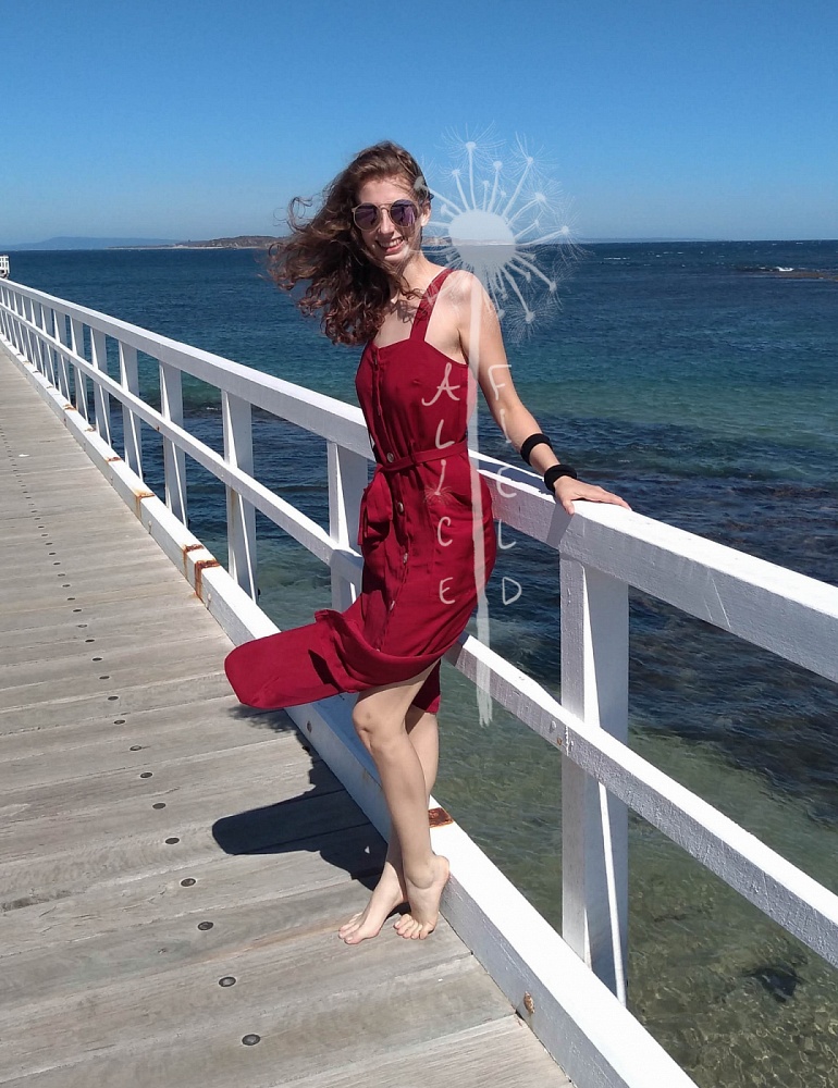 AliceAdventure