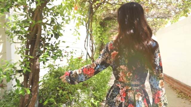 Ivy Spring