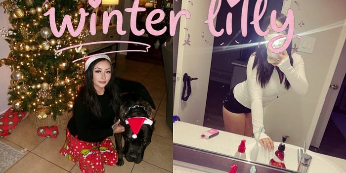 winter lilly’s Cover Photo